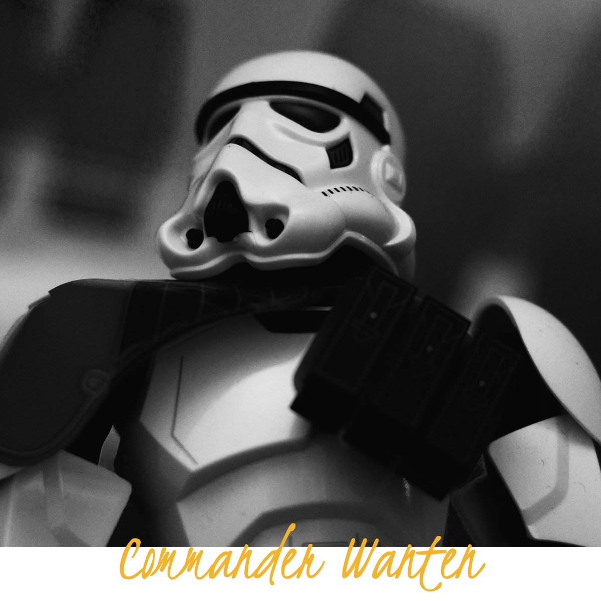 Commander Wanten: Stormtrooper TD-110 Commander Wanten: Stormtrooper TD-110